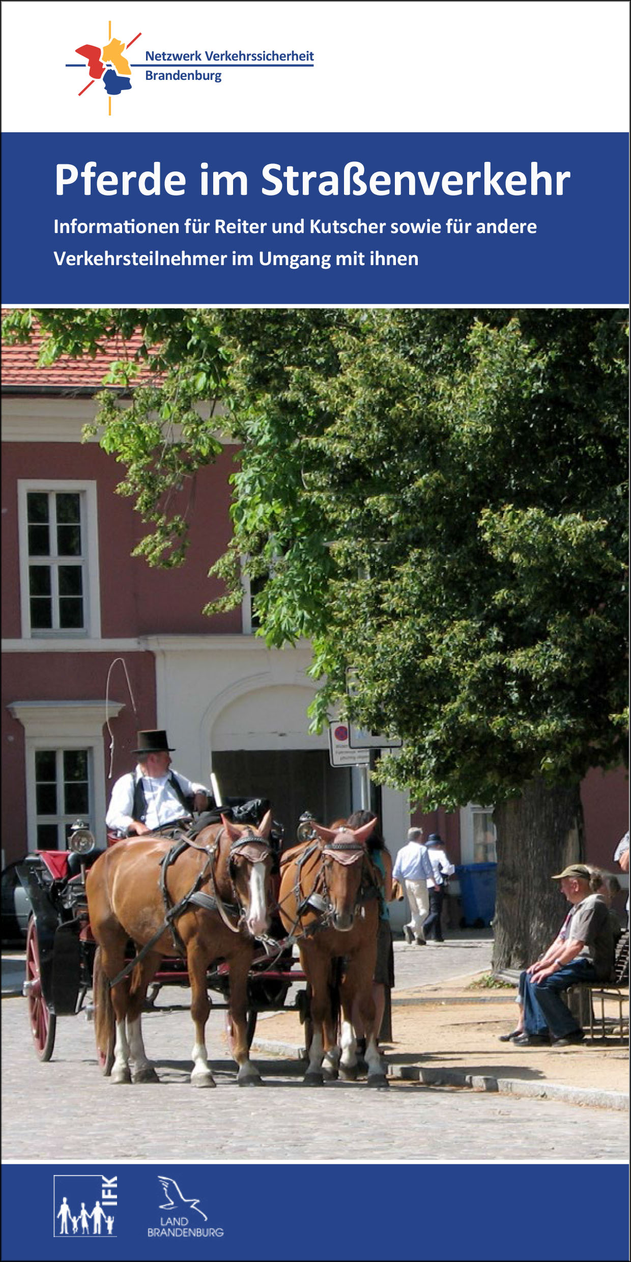 Pferde im Straßenverkehr
